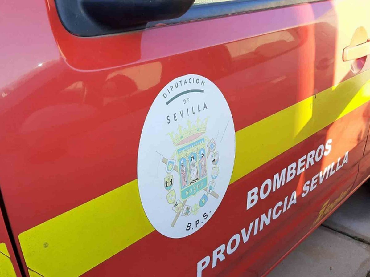 Los Bomberos de Sevilla se ocuparon de evacuar a la herida grave