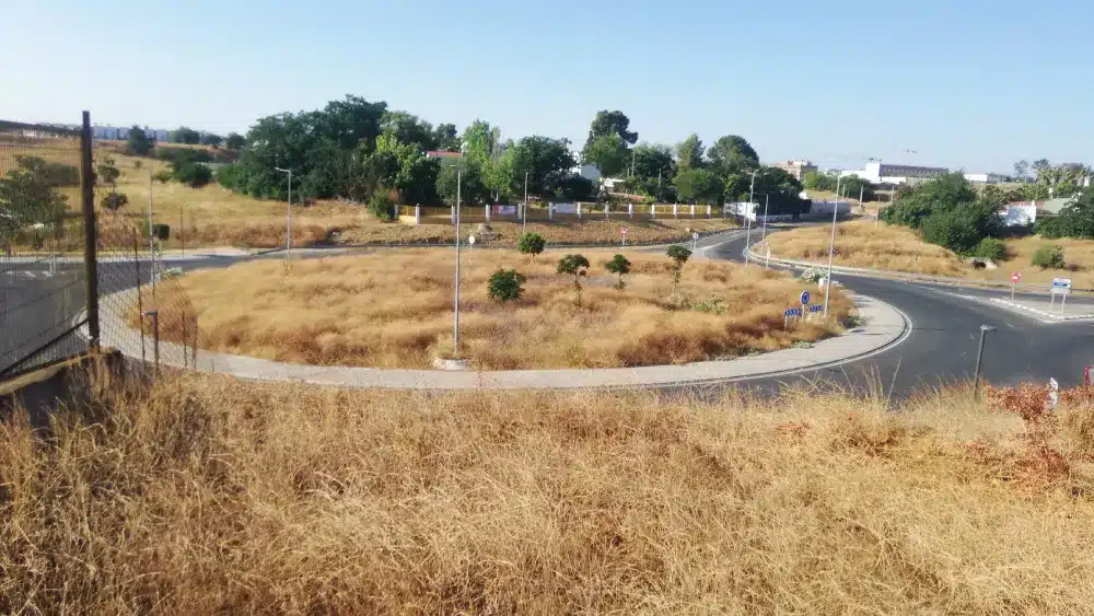 Pastos en la glorieta de la carretera de Dos Hermanas. Cedida